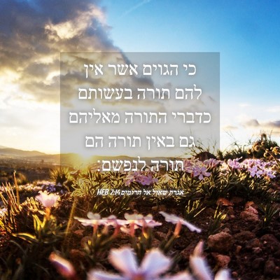 Picture 04 - אגרת שאול אל הרומים 2:14 HEB - כי הגוים אשר אין להם תורה - Bible Verse Picture