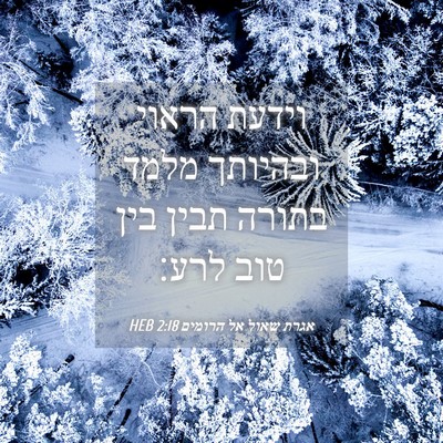Picture 04 - אגרת שאול אל הרומים 2:18 HEB - וידעת הראוי ובהיותך מלמד - Bible Verse Picture