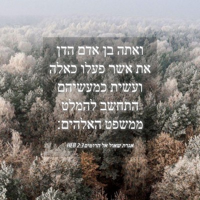 Picture 04 - אגרת שאול אל הרומים 2:3 HEB - ואתה בן אדם הדן את אשר פעלו - Bible Verse Picture