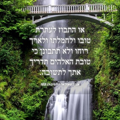 Picture 04 - אגרת שאול אל הרומים 2:4 HEB - או התבוז לעתרת טובו - Bible Verse Picture