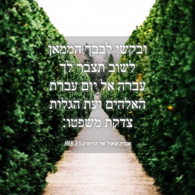 Picture 04 - אגרת שאול אל הרומים 2:5 HEB - ובקשי לבבך הממאן לשוב תצבר - Bible Verse Picture