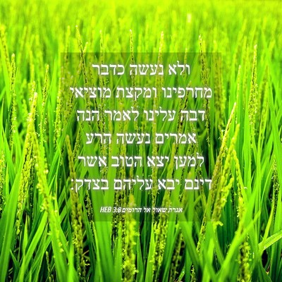 Picture 04 - אגרת שאול אל הרומים 3:8 HEB - ולא נעשה כדבר מחרפינו - Bible Verse Picture