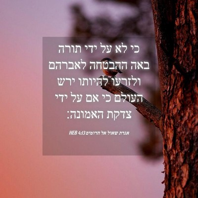 Picture 04 - אגרת שאול אל הרומים 4:13 HEB - כי לא על ידי תורה באה - Bible Verse Picture