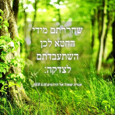 Picture 04 - אגרת שאול אל הרומים 6:18 HEB - שחררתם מידי החטא לכן - Bible Verse Picture