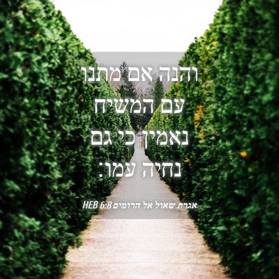 Picture 04 - אגרת שאול אל הרומים 6:8 HEB - והנה אם מתנו עם המשיח נאמין - Bible Verse Picture