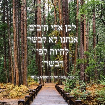 Picture 04 - אגרת שאול אל הרומים 8:12 HEB - לכן אחי חיבים אנחנו לא לבשר - Bible Verse Picture