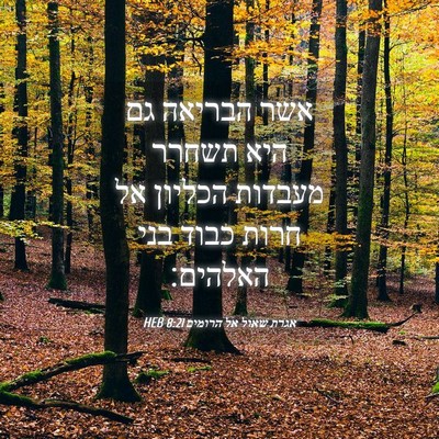 Picture 04 - אגרת שאול אל הרומים 8:21 HEB - אשר הבריאה גם היא תשחרר - Bible Verse Picture