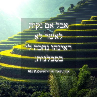 Picture 04 - אגרת שאול אל הרומים 8:25 HEB - אבל אם נקוה לאשר לא ראינהו - Bible Verse Picture