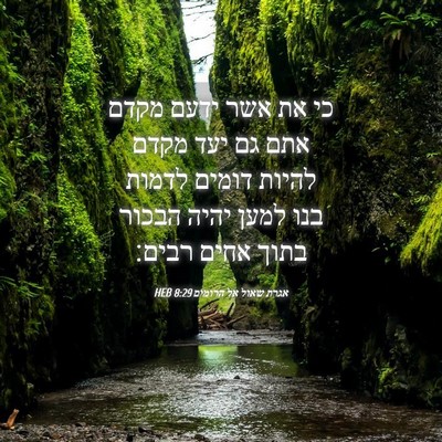 Picture 04 - אגרת שאול אל הרומים 8:29 HEB - כי את אשר ידעם מקדם אתם גם - Bible Verse Picture