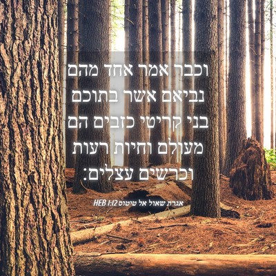 Picture 04 - אגרת שאול אל טיטוס 1:12 HEB - וכבר אמר אחד מהם נביאם אשר - Bible Verse Picture