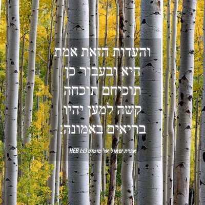 Picture 04 - אגרת שאול אל טיטוס 1:13 HEB - והעדות הזאת אמת היא ובעבור - Bible Verse Picture