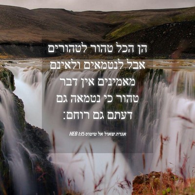 Picture 04 - אגרת שאול אל טיטוס 1:15 HEB - הן הכל טהור לטהורים אבל - Bible Verse Picture
