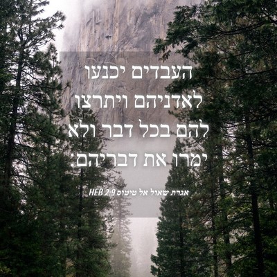 Picture 04 - אגרת שאול אל טיטוס 2:9 HEB - העבדים יכנעו לאדניהם - Bible Verse Picture