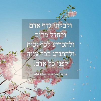 Picture 04 - אגרת שאול אל טיטוס 3:2 HEB - ולבלתי גדף אדם ולחדל מריב - Bible Verse Picture