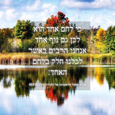 Picture 04 - אגרת שאול הראשונה אל הקורינתים 10:17 HEB - כי לחם אחד הוא לכן גם נוף - Bible Verse Picture