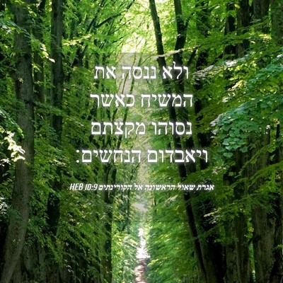 Picture 04 - אגרת שאול הראשונה אל הקורינתים 10:9 HEB - ולא ננסה את המשיח כאשר - Bible Verse Picture