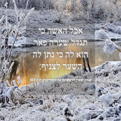 Picture 04 - אגרת שאול הראשונה אל הקורינתים 11:15 HEB - אבל האשה כי תגדל שערה פאר - Bible Verse Picture