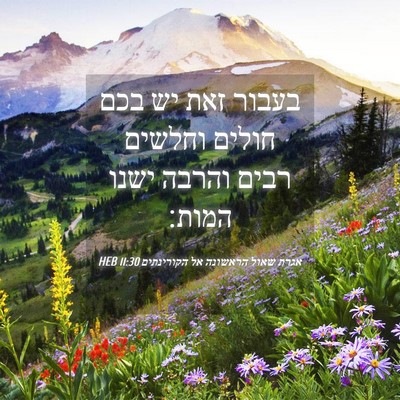 Picture 04 - אגרת שאול הראשונה אל הקורינתים 11:30 HEB - בעבור זאת יש בכם חולים - Bible Verse Picture