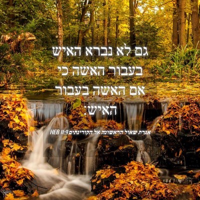 Picture 04 - אגרת שאול הראשונה אל הקורינתים 11:9 HEB - גם לא נברא האיש בעבור האשה - Bible Verse Picture