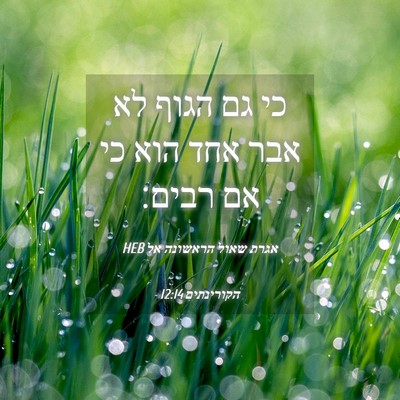 Picture 04 - אגרת שאול הראשונה אל הקורינתים 12:14 HEB - כי גם הגוף לא אבר אחד הוא כי - Bible Verse Picture
