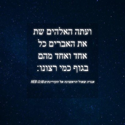 Picture 04 - אגרת שאול הראשונה אל הקורינתים 12:18 HEB - ועתה האלהים שת את האברים כל - Bible Verse Picture