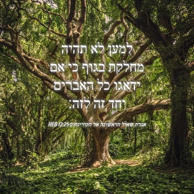 Picture 04 - אגרת שאול הראשונה אל הקורינתים 12:25 HEB - למען לא תהיה מחלקת בגוף כי - Bible Verse Picture