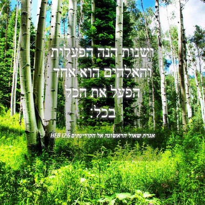 Picture 04 - אגרת שאול הראשונה אל הקורינתים 12:6 HEB - ושנות הנה הפעלות והאלהים - Bible Verse Picture