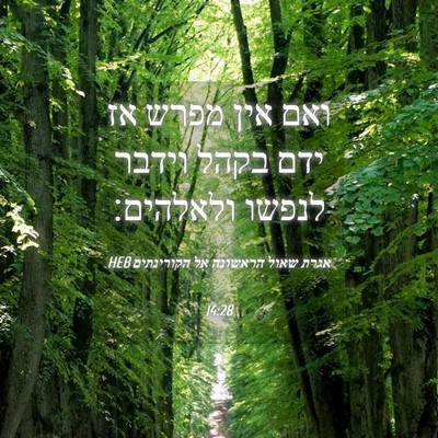 Picture 04 - אגרת שאול הראשונה אל הקורינתים 14:28 HEB - ואם אין מפרש אז ידם בקהל - Bible Verse Picture