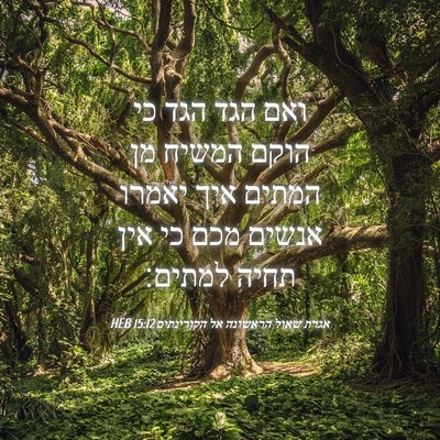 Picture 04 - אגרת שאול הראשונה אל הקורינתים 15:12 HEB - ואם הגד הגד כי הוקם המשיח - Bible Verse Picture