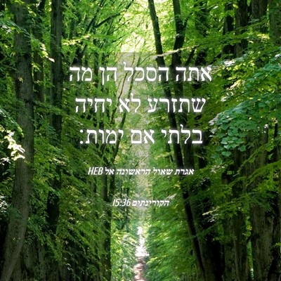 Picture 04 - אגרת שאול הראשונה אל הקורינתים 15:36 HEB - אתה הסכל הן מה שתזרע לא - Bible Verse Picture