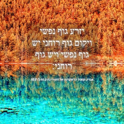 Picture 04 - אגרת שאול הראשונה אל הקורינתים 15:44 HEB - יזרע גוף נפשי ויקום גוף - Bible Verse Picture
