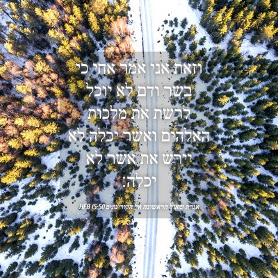 Picture 04 - אגרת שאול הראשונה אל הקורינתים 15:50 HEB - וזאת אני אמר אחי כי בשר ודם - Bible Verse Picture