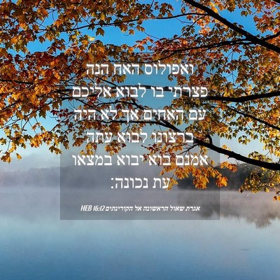 Picture 04 - אגרת שאול הראשונה אל הקורינתים 16:12 HEB - ואפולוס האח הנה פצרתי בו - Bible Verse Picture