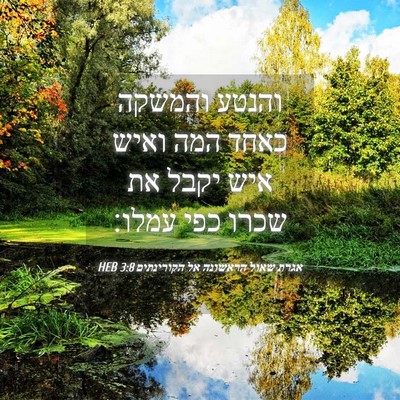 Picture 04 - אגרת שאול הראשונה אל הקורינתים 3:8 HEB - והנטע והמשקה כאחד המה ואיש - Bible Verse Picture