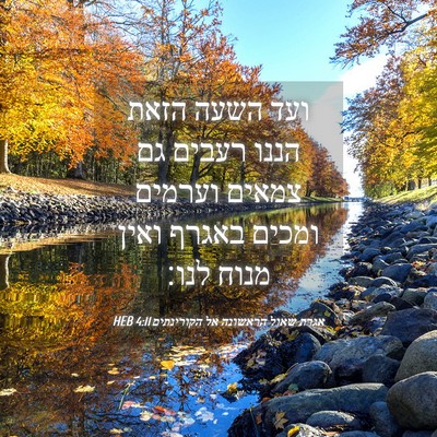 Picture 04 - אגרת שאול הראשונה אל הקורינתים 4:11 HEB - ועד השעה הזאת הננו רעבים גם - Bible Verse Picture