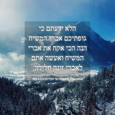 Picture 04 - אגרת שאול הראשונה אל הקורינתים 6:15 HEB - הלא ידעתם כי גופתיכם אברי - Bible Verse Picture