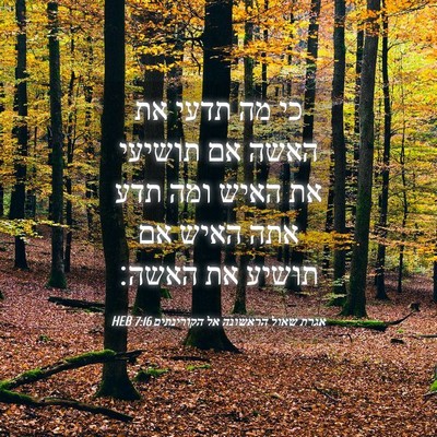 Picture 04 - אגרת שאול הראשונה אל הקורינתים 7:16 HEB - כי מה תדעי את האשה אם - Bible Verse Picture