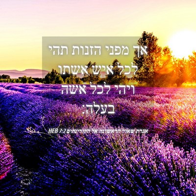 Picture 04 - אגרת שאול הראשונה אל הקורינתים 7:2 HEB - אך מפני הזנות תהי לכל איש - Bible Verse Picture