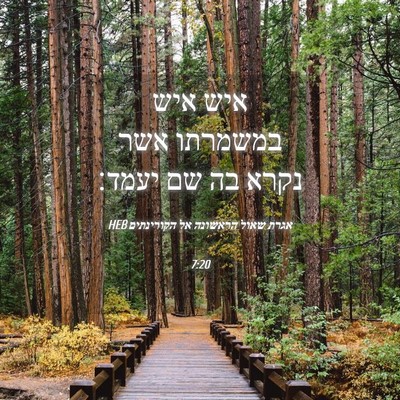 Picture 04 - אגרת שאול הראשונה אל הקורינתים 7:20 HEB - איש איש במשמרתו אשר נקרא בה - Bible Verse Picture