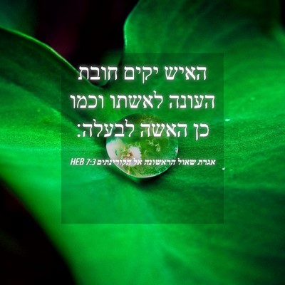 Picture 04 - אגרת שאול הראשונה אל הקורינתים 7:3 HEB - האיש יקים חובת העונה לאשתו - Bible Verse Picture