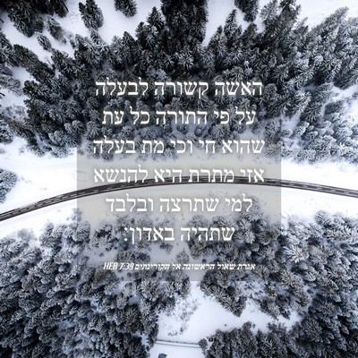 Picture 04 - אגרת שאול הראשונה אל הקורינתים 7:39 HEB - האשה קשורה לבעלה על פי - Bible Verse Picture