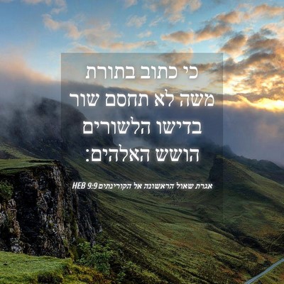Picture 04 - אגרת שאול הראשונה אל הקורינתים 9:9 HEB - כי כתוב בתורת משה לא תחסם - Bible Verse Picture