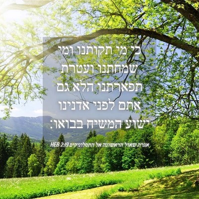 Picture 04 - אגרת שאול הראשונה אל התסלוניקים 2:19 HEB - כי מי תקותנו ומי שמחתנו - Bible Verse Picture