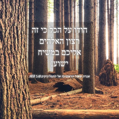 Picture 04 - אגרת שאול הראשונה אל התסלוניקים 5:18 HEB - הודו על הכל כי זה רצון - Bible Verse Picture