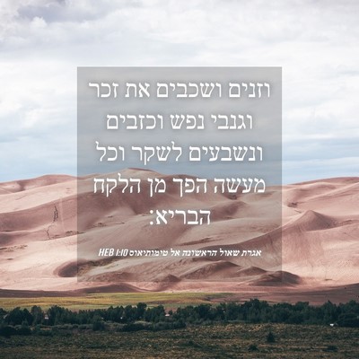 Picture 04 - אגרת שאול הראשונה אל טימותיאוס 1:10 HEB - וזנים ושכבים את זכר וגנבי - Bible Verse Picture