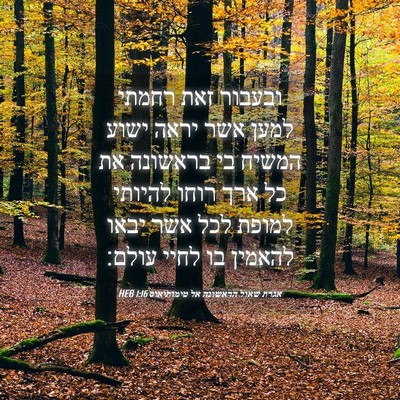Picture 04 - אגרת שאול הראשונה אל טימותיאוס 1:16 HEB - ובעבור זאת רחמתי למען אשר - Bible Verse Picture