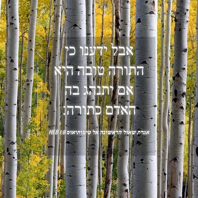 Picture 04 - אגרת שאול הראשונה אל טימותיאוס 1:8 HEB - אבל ידענו כי התורה טובה היא - Bible Verse Picture