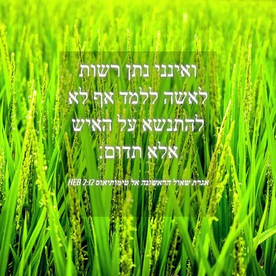 Picture 04 - אגרת שאול הראשונה אל טימותיאוס 2:12 HEB - ואינני נתן רשות לאשה ללמד - Bible Verse Picture