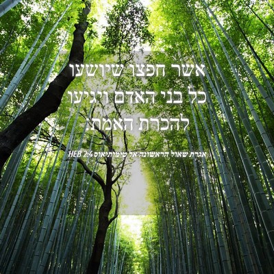 Picture 04 - אגרת שאול הראשונה אל טימותיאוס 2:4 HEB - אשר חפצו שיושעו כל בני האדם - Bible Verse Picture