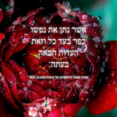 Picture 04 - אגרת שאול הראשונה אל טימותיאוס 2:6 HEB - אשר נתן את נפשו כפר בעד כל - Bible Verse Picture